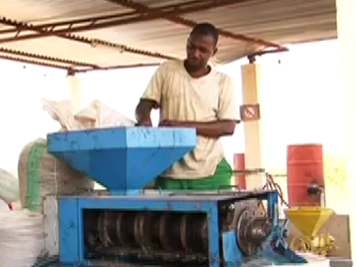 "Kia - Planting for a Better Life" in Mali